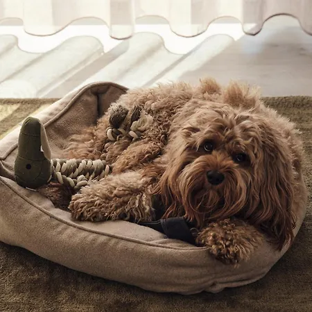 Apartment Maisonette-apartment A11 Pine Hill Zwei Balkone, Zwei Terrassen Zirchow